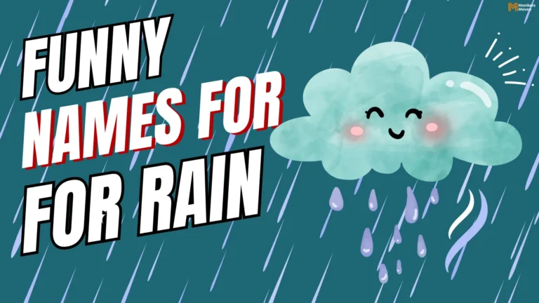 370+ Funny Names for Rain